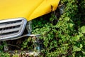 Old car inside the thickets of grass