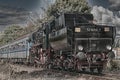 Old diesel  engine on the railways - exhibition trip Royalty Free Stock Photo