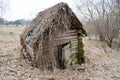 An old, dilapidated little wooden abandoned ruined rustling broken house of beams, logs and sticks overgrown with moss and plants Royalty Free Stock Photo