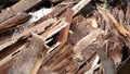 Old and dilapidated wood piles that have been destroyed by termites and moths,