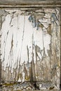 Old dilapidated wooden door covered with cracks. Weathered and cracked paint layers of different colors. Vertical fragment