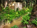 Old dilapidated wooden shed deserted inside the oil palm plantation. Royalty Free Stock Photo