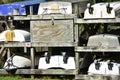Old dinghies on weathered timber rack