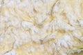 Old and dirt insulation wool texture for background Royalty Free Stock Photo