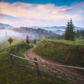 Old dirt road in a carpathian valley Royalty Free Stock Photo