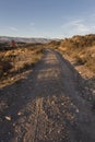 Old dirt road in the desert Royalty Free Stock Photo
