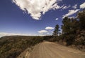 An old dirt road in the mountains in the Prescott National Forest in Arizona on a beautiful spring day