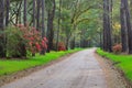 Backroad in Lowcountry on Edisto Island in South Carolina