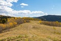 Old dirt road winds through a colorful fall forest of aspen trees in the Colorado mountains Royalty Free Stock Photo