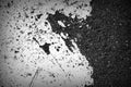 Old dirty asphalt surface with white paint on it. Top view black and white Royalty Free Stock Photo