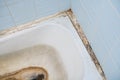 Old dirty bathtub with fungus and mold. Concept cleaning and health