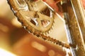 Old and dirty bicycle gear and chain. Royalty Free Stock Photo