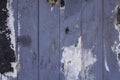 Old dirty blue gray fence from wooden boards with scratches and stains of black white paint. vertical lines. rough surface texture Royalty Free Stock Photo