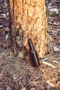 An old, dirty, brown beer bottle stands on the ground Royalty Free Stock Photo