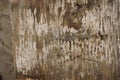 Old and dirty cement wall texture background Royalty Free Stock Photo