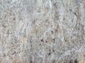 Old dirty Compressed natural bagasse texture use for background. Textured and background of bagasse plywood or bagasse particle Royalty Free Stock Photo