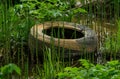 An old dirty discarded car tire lies in a swamp