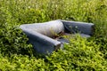 old dirty discarded sofa surrounded by wild plants