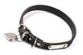 Old and dirty dogs collar Royalty Free Stock Photo