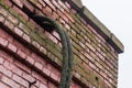 An old, dirty electrical cable wire in the brick wall of the facade of an abandoned house