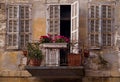Old dirty facade flowers Jaffa Israel Royalty Free Stock Photo