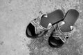 Old and dirty flip flops. Royalty Free Stock Photo
