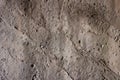 Old dirty gray concrete wall Royalty Free Stock Photo