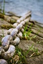 Old, dirty and heavy iron chain on the riverbank Royalty Free Stock Photo