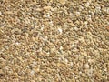 Old dirty pebble stone texture background Royalty Free Stock Photo