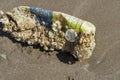 Old dirty plastic bottle overgrown with seashells on a sandy beach after storm. Technogenic pollution of the world ocean Royalty Free Stock Photo