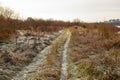 Old dirty Road to the field with yellow ears and grass. Rustic landscape in an autumn day. Sad rural nature. The concept Royalty Free Stock Photo