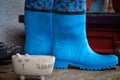Old dirty rubber boots stand on the wooden floor of a country house porch. Blue rubber country goloshes. Ireland Royalty Free Stock Photo