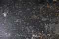 Old dirty rusty metal plate with peeling black paint. rough surface texture Royalty Free Stock Photo