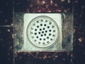 Old shower drain Royalty Free Stock Photo