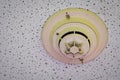 Old and dirty smoke detector with cobwebs on ceiling wall. Fire alarm system in house. Emergency equipment in apartment. Royalty Free Stock Photo