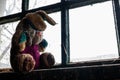 Old dirty stuffed toy rabbit on windowsill in abandoned house