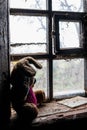 Old dirty stuffed toy rabbit on windowsill in abandoned house