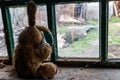 Old dirty stuffed toy rabbit on windowsill in abandoned house