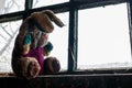 Old dirty stuffed toy rabbit on windowsill in abandoned house