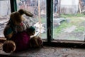 Old dirty stuffed toy rabbit on windowsill in abandoned house