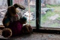 Old dirty stuffed toy rabbit on windowsill in abandoned house