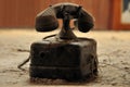 Old dirty telephone