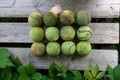 Old, dirty tennis balls lie on a wooden bench. Concept - Sport after the coronavirus pandemic