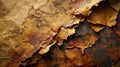 Old dirty torn paper texture background, brown grungy vintage crumpled sheet. Top view of rough worn wrapping paper or cardboard.