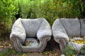 Old dirty torn sofa with an armchair, covered with apples on the background of the forest