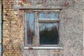 Old dirty window in a wooden frame, overgrown with a plant with black berries and red leaves, in a brick abandoned house Royalty Free Stock Photo