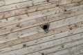 Old dirty wooden wall with a metal hole in the middle. Background texture Royalty Free Stock Photo