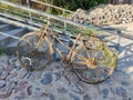 Old discarded bike, full of rust, seaweed, small clams and barnacles pulled out from water