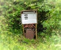 Old discarded petrol pump being overgrown by nature Royalty Free Stock Photo