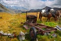 Old dismantling car and horses